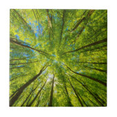 Blick durch grüne Blätter Fliese (Vorderseite)