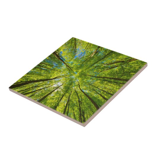 Blick durch grüne Blätter Fliese (Seite)