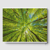 Blick durch grüne Blätter Gästebuch (Rückseite)