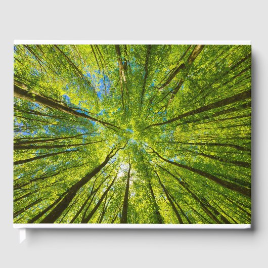 Blick durch grüne Blätter Gästebuch (Vorderseite)