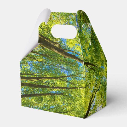 Blick durch grüne Blätter Geschenkschachtel (Rückseite)