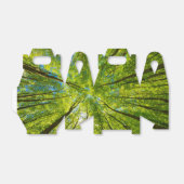 Blick durch grüne Blätter Geschenkschachtel (Ungefaltet)