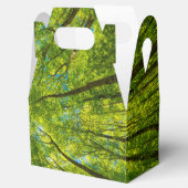 Blick durch grüne Blätter Geschenkschachtel (Geöffnet)