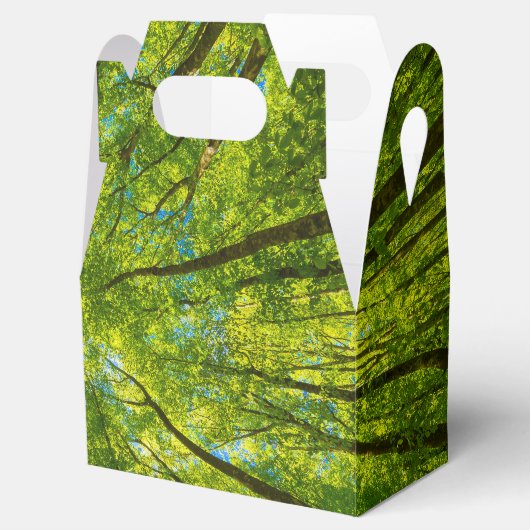 Blick durch grüne Blätter Geschenkschachtel (Geöffnet)