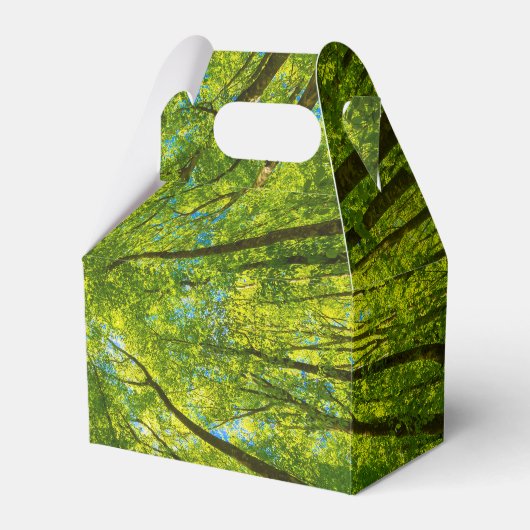 Blick durch grüne Blätter Geschenkschachtel (Vorderseite)