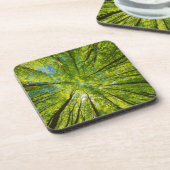 Blick durch grüne Blätter Getränkeuntersetzer (Linke Seite)