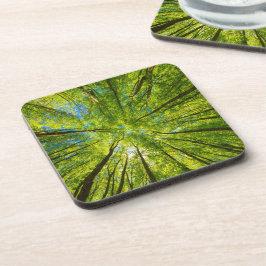 Blick durch grüne Blätter Getränkeuntersetzer