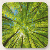 Blick durch grüne Blätter Getränkeuntersetzer (Vorderseite)