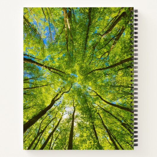 Blick durch grüne Blätter Notizblock (Rückseite)