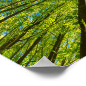 Blick durch grüne Blätter Poster (Ecke)