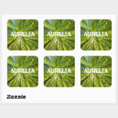 Blick durch grüne Blätter Quadratischer Aufkleber (Blatt)