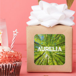 Blick durch grüne Blätter Quadratischer Aufkleber