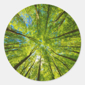 Blick durch grüne Blätter Runder Aufkleber (Vorderseite)