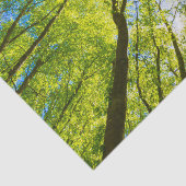 Blick durch grüne Blätter Seidenpapier (Detail)