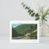 Blick entlang des kalten Flusses östliche Steigung Postkarte (Stehend Vorderseite)