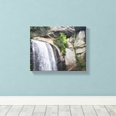 Blick Glass Falls Brevard North Carolina Leinwanddruck (Insitu (Holzboden))