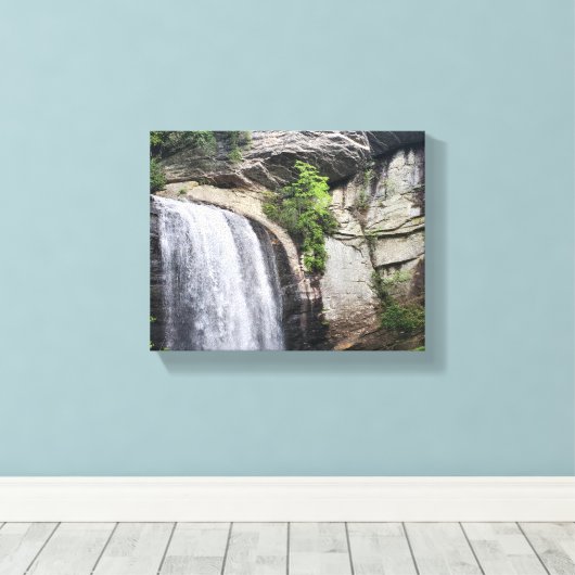 Blick Glass Falls Brevard North Carolina Leinwanddruck (Insitu (Holzboden))