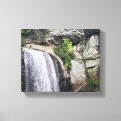 Blick Glass Falls Brevard North Carolina Leinwanddruck (Vorderseite)