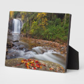 Blick Glass Falls Pisgah National Forest Fotoplatte (Seite)