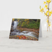 Blick Glass Falls Pisgah National Forest Karte (Gelbe Blume)