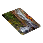 Blick Glass Falls Pisgah National Forest Magnet (Rechte Seite)