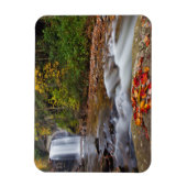 Blick Glass Falls Pisgah National Forest Magnet (Vertikal)