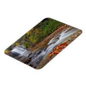 Blick Glass Falls Pisgah National Forest Magnet (Linke Seite)