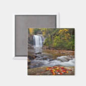 Blick Glass Falls Pisgah National Forest Magnet (Vorderseite/Rückseite)