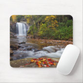 Blick Glass Falls Pisgah National Forest Mousepad (Mit Mouse)