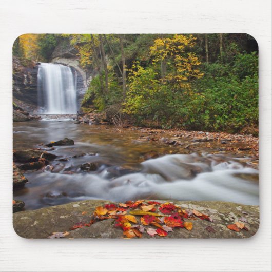 Blick Glass Falls Pisgah National Forest Mousepad (Vorne)