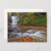 Blick Glass Falls Pisgah National Forest Postkarte (Vorne/Hinten)