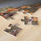 Blick Glass Falls Pisgah National Forest Puzzle (Seite)