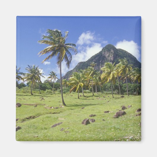 Blick Gros Piton auf dem historischen Weg in Magnet (Vorne)