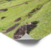 Blick Gros Piton auf dem historischen Weg in Poster (Ecke)