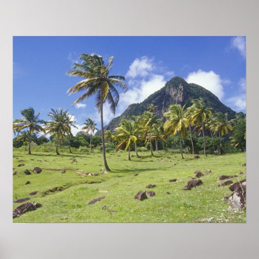 Blick Gros Piton auf dem historischen Weg in Poster (Vorne)