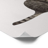 Blick hinunter auf Katze Poster (Ecke)