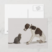 Blick hinunter auf Katze Postkarte (Vorne/Hinten)