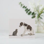 Blick hinunter auf Katze Postkarte (Stehend Vorderseite)