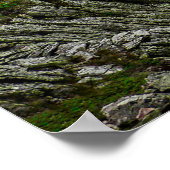 Blick in das Becken, Baxter Staat Park, Maine Poster (Ecke)