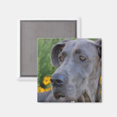 Blick in das Hübsche Magnet (Vorderseite/Rückseite)