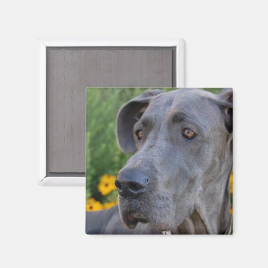 Blick in das Hübsche Magnet (Vorderseite/Rückseite)