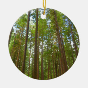 Blick in den alten Waldbestand Keramik Ornament