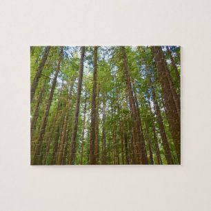 Blick in den alten Waldbestand Puzzle