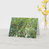 "Blick in den Apfelbaum" - Gratulatorkarte Karte (Gelbe Blume)