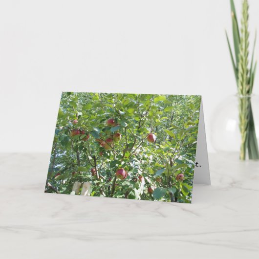 "Blick in den Apfelbaum" - Gratulatorkarte Karte (Vorderseite)