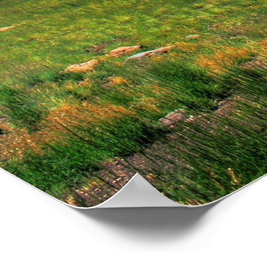 Blick in die Ferne Poster (Ecke)