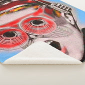Blick in die Zukunft Sherpadecke (3/4)