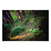 Blick in Eden Fotodruck (Vorne)