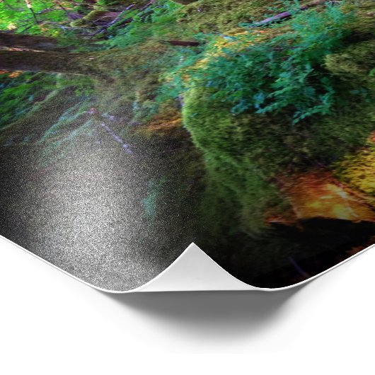 Blick in Eden Fotodruck (Ecke)