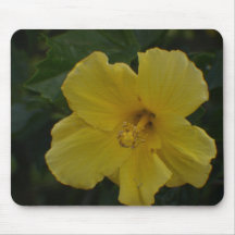 Blick in eine gelbe Blume Mousepad